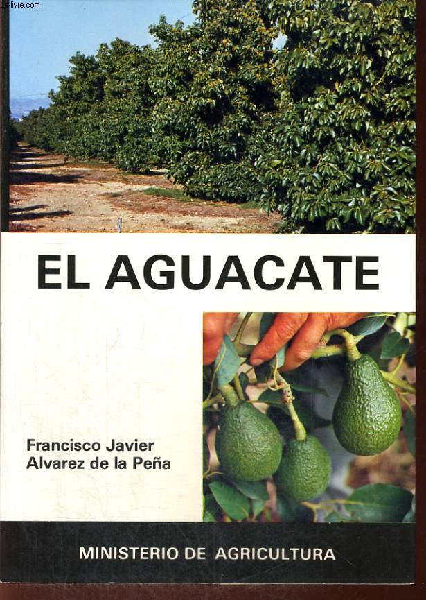 EL AGUACATE