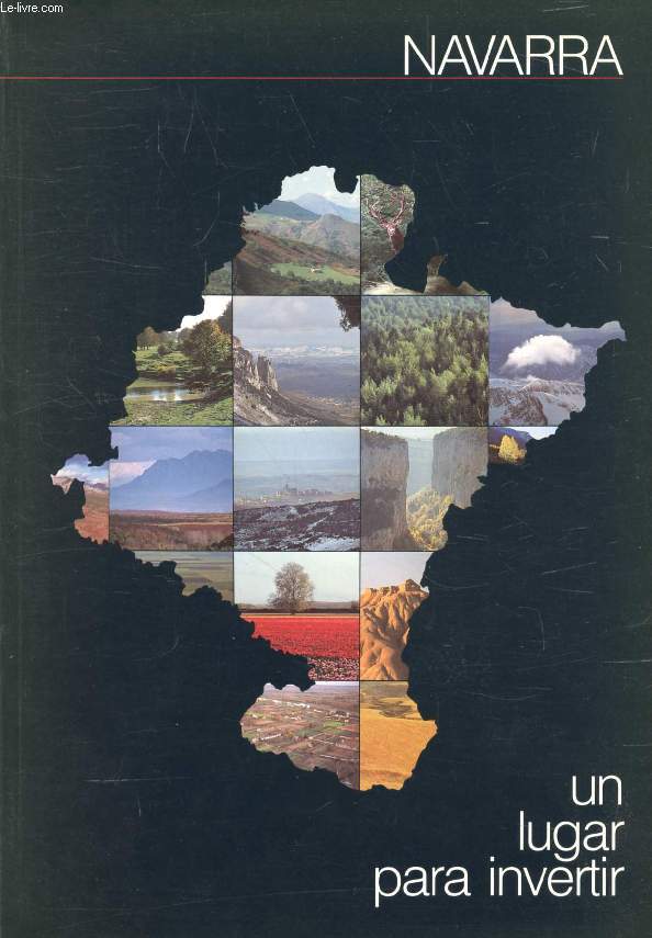 NAVARRA, UN LUGAR PARA INVERTIR