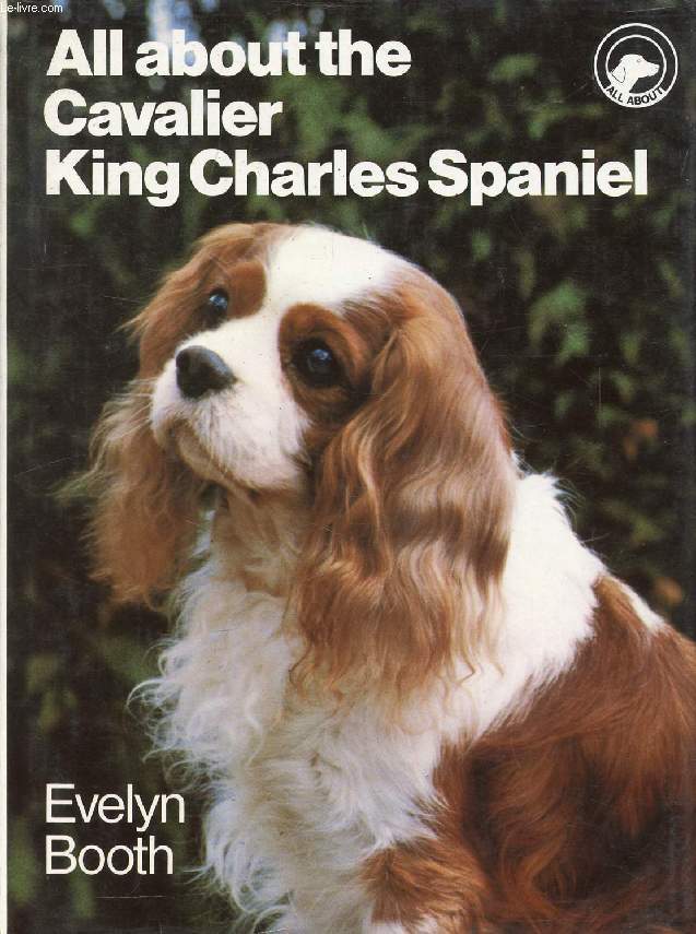 ALL ABOUT THE CAVALIER KING CHARLES SPANIEL