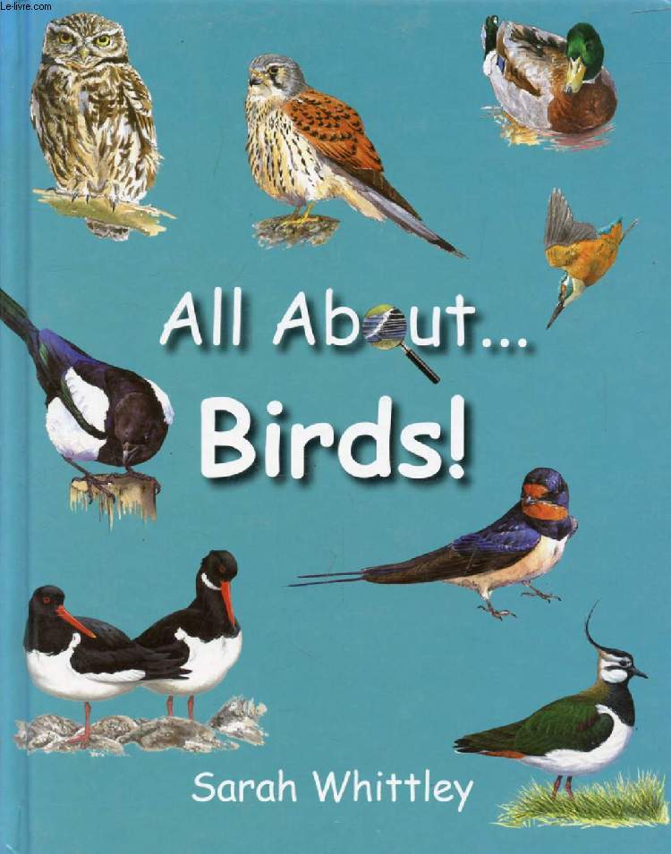 ALL ABOUT BIRDS