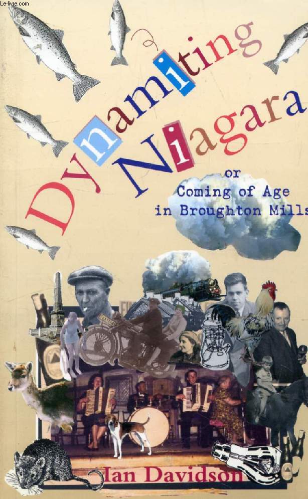 DYNAMITING NIAGARA, OR, COMING OF AGE IN BROUGHTON MILLS