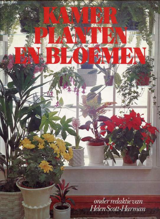 KAMER PLANTEN EN BLOEMEN