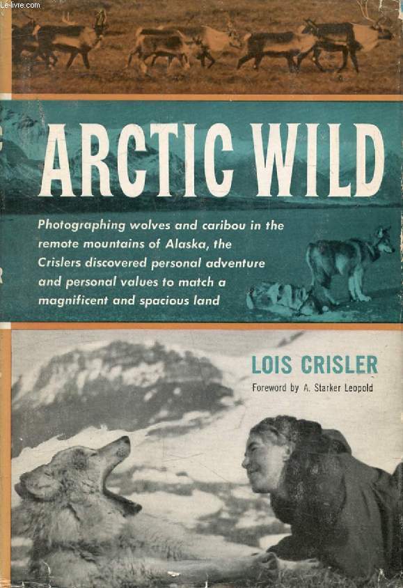 ARCTIC WILD