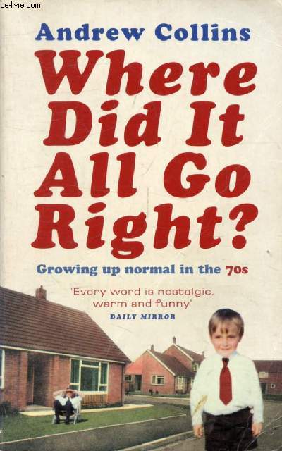 WHERE DID IT ALL GO RIGHT ?, Growing Up Normal in the 70s