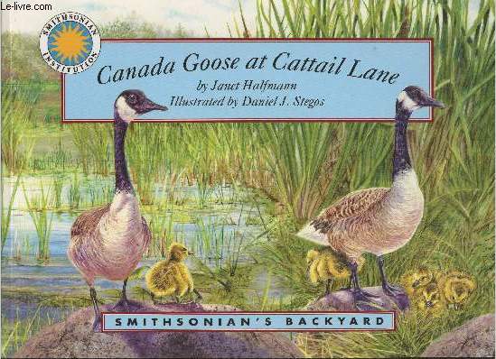 Canada goose at Cattail Lane