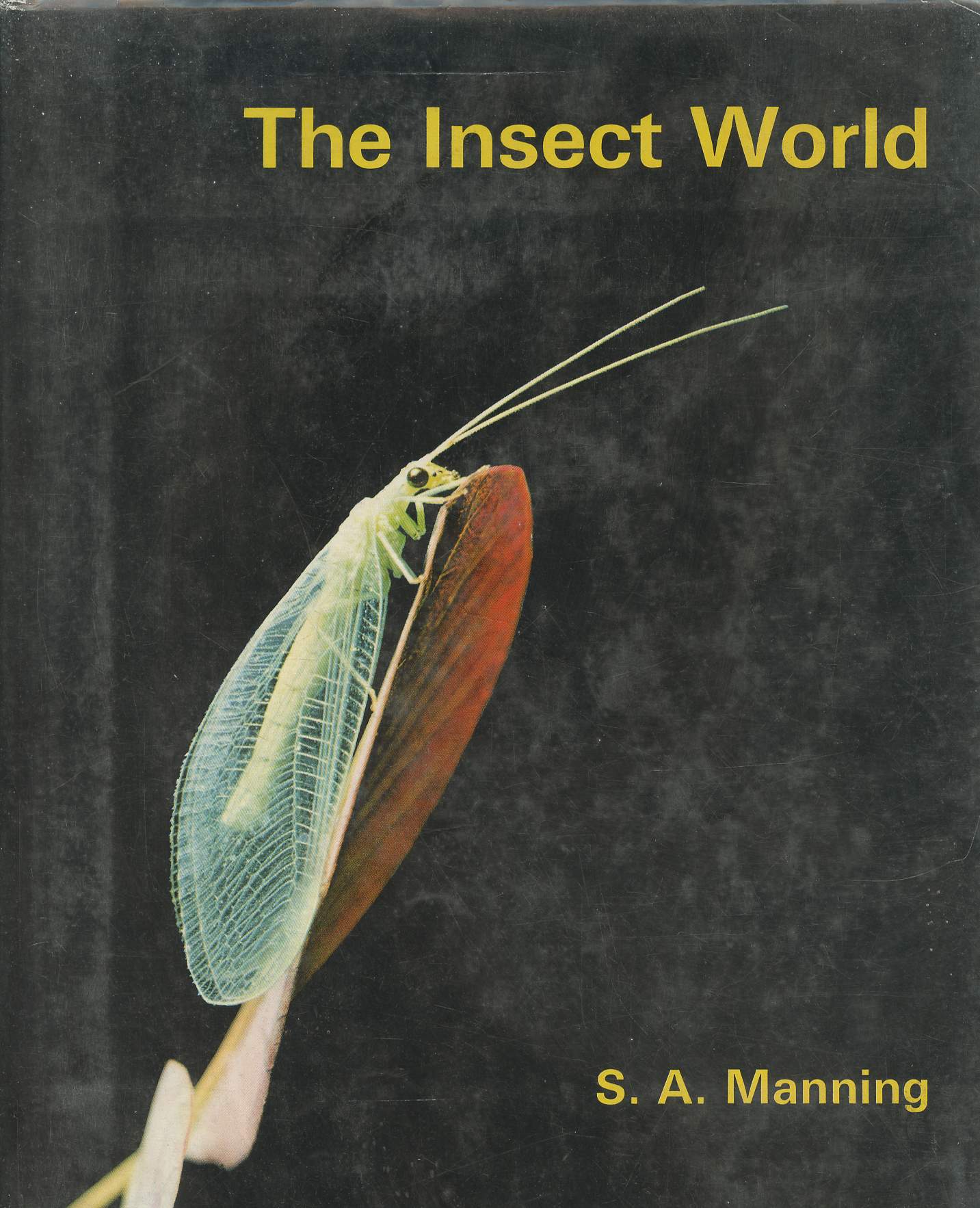 The insect world