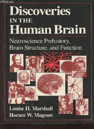 Discoveries in the human brain- Neuroscience, Prehistory, Brain structure, and function