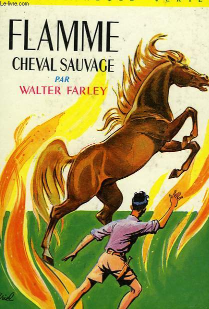 FLAMME CHEVAL SAUVAGE