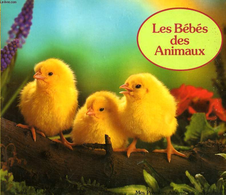 LES BEBES DES ANIMAUX