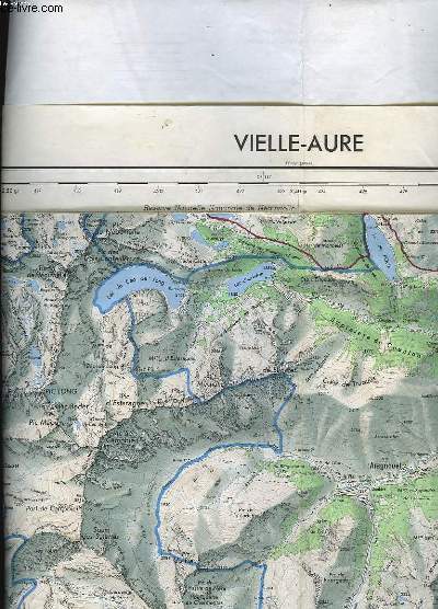 IGN, CARTE DE FRANCE 1:50 000, VIELLE-AURE
