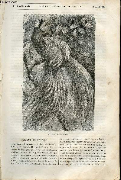 L'ami de la jeunesse et des familles - nouvelle srie - bimensuel 25 avril 1880 - L'oiseau de paradis