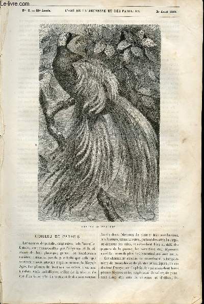 L'ami de la jeunesse et des familles - nouvelle srie - bimensuel 25 avril 1880 - L'oiseau de paradis