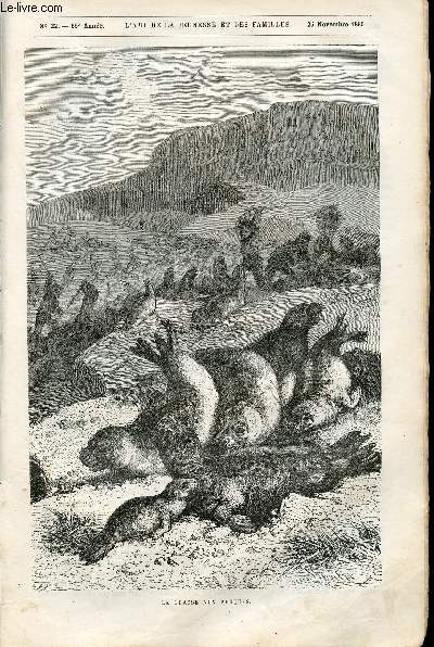 L'ami de la jeunesse et des familles - nouvelle srie - bimensuel 25 novembre 1880 - La chasse aux phoques