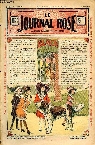 Le journal rose - n 61 - 9 avril 1913 - Black par Arthur Dourliac - Les ailes du moulin par Jean Bourdeaux - La princesse endormie par Jean Rosmer - Les heureuses consquences d'une fcheuse mprise par Marguerite Lanteirs - La colline rose par Louis Va