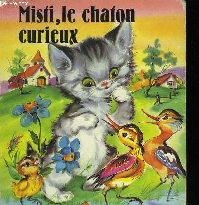 Misti, le chaton curieux.