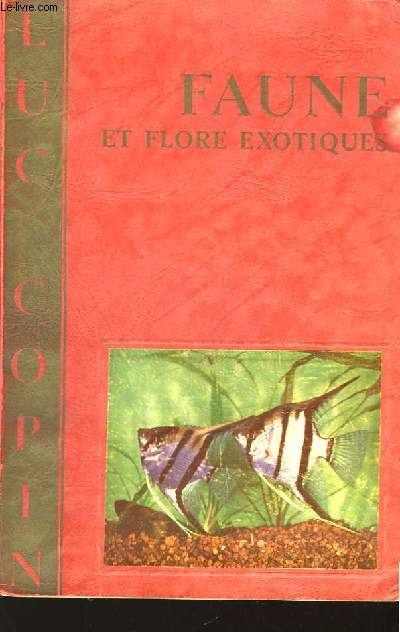 Faune et flore exotiques.
