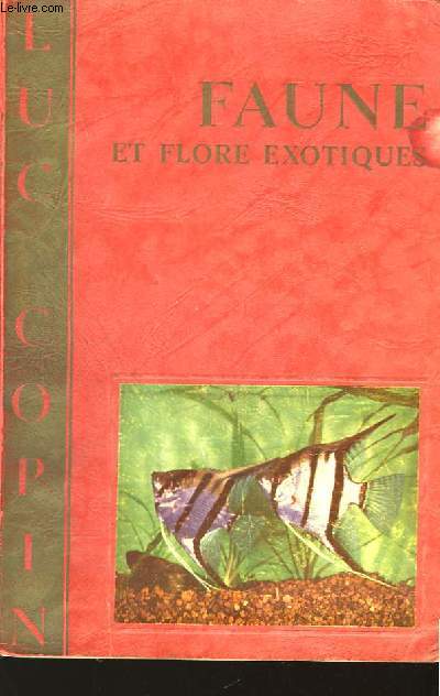 Faune et flore exotiques.