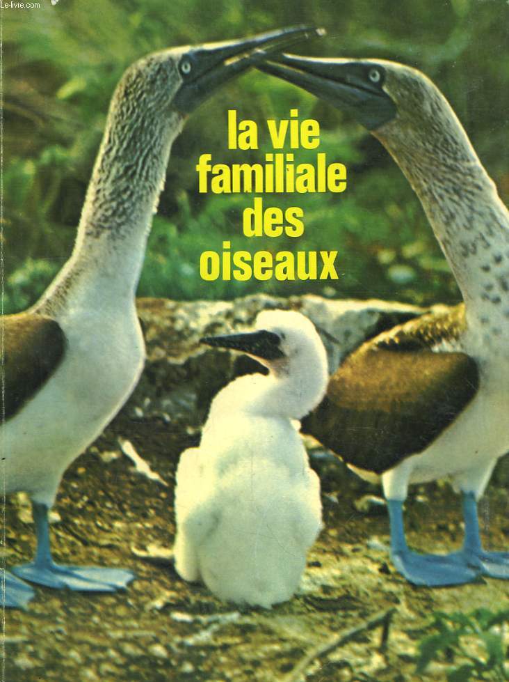La vie familiale des oiseaux.