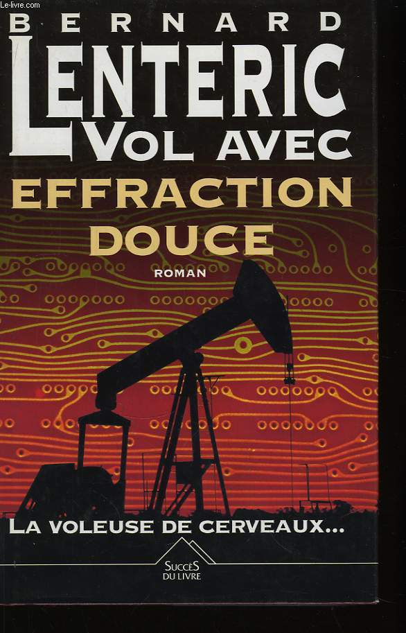 Vol avec effraction douce