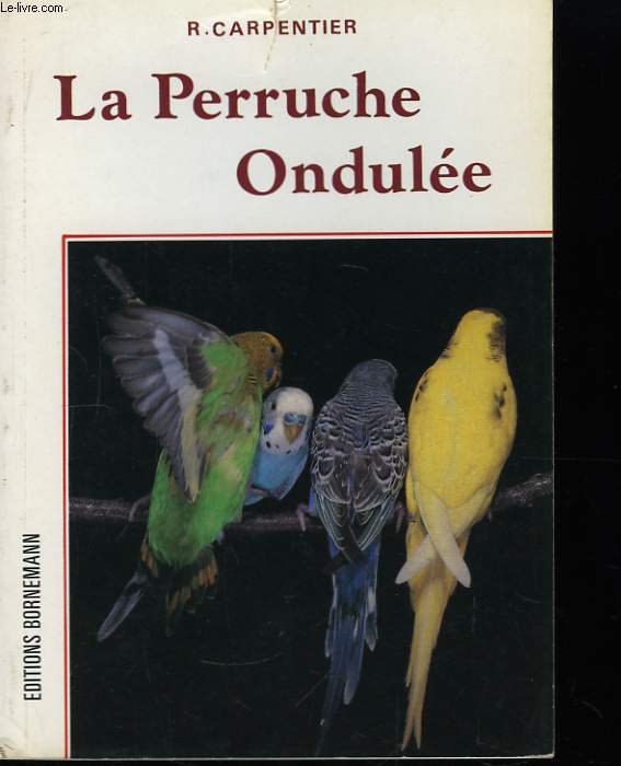 La Perruche Ondule.