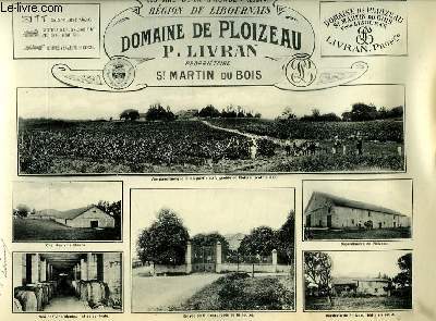Les Vins de la Gironde Illustrs. Domaine du Ploizeau.