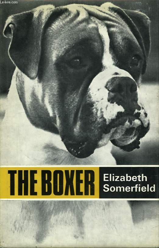 The Boxer