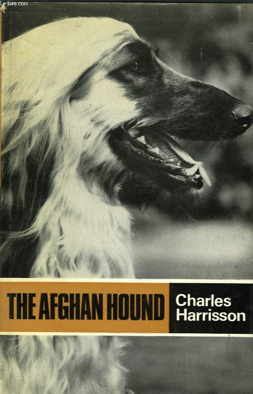 The Afghan Hound