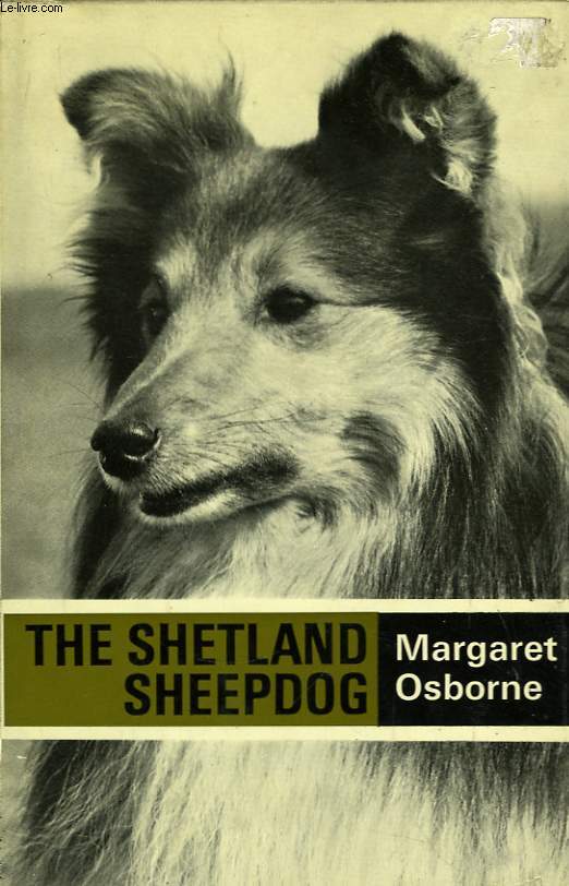 The Shetland Sheepdog.