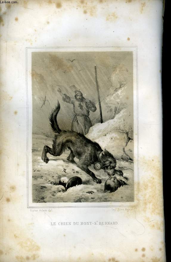 Le Chien d'Ulysse - Les chiens du Mont Saint-Bernard - Les chiens de Montargis - Les chiens de la Rvolution