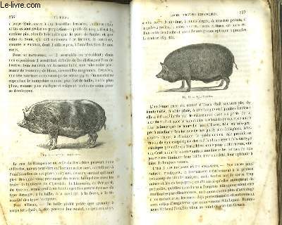 Hygine Vtrinaire. TOME 2 : Boeuf, Mouton, Chvre, Porc