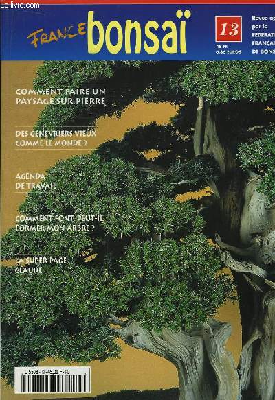 France Bonsa n13 : Comment faire un pausage sur pierre. Des genvriers vieux comme le monde (2). Comment puis-je former mon arbre ? ...