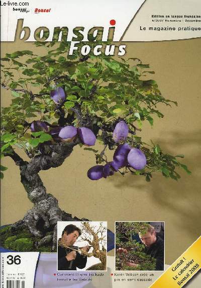 Bonsai Focus N°36 : Comment Hiromi Tsukada travaille les Satsuki. Kevin Willson crée un pin en semi cascade.