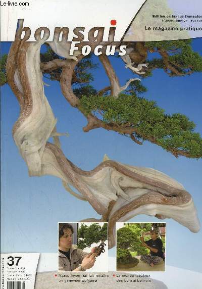 Bonsai Focus N37 : Marco Invernizzi fait renaitre un genvrier Itogawa. Le Monde fabuleux des bonsa balinais.
