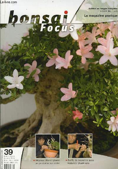 Bonsai Focus N39 : Akiyama Minoru plante un genvrier sur roche. Greffe de branches avec Nobuichi Urushibata.