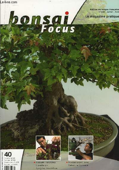 Bonsai Focus N40 : Hotsumi Terakawa travaille un Syzigium buxifolium. Niveau expert avec Salvatore Liporace.