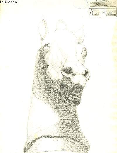 Buste de Cheval. Un dessin original en noir et blanc.