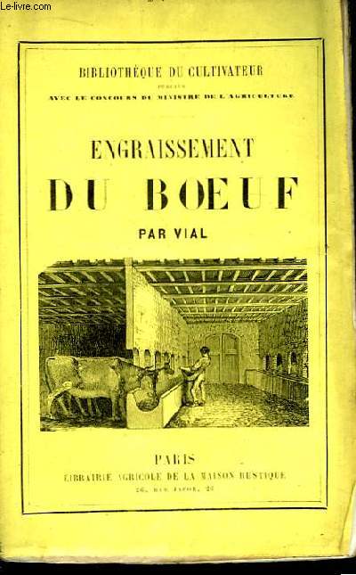 Engraissement du Boeuf