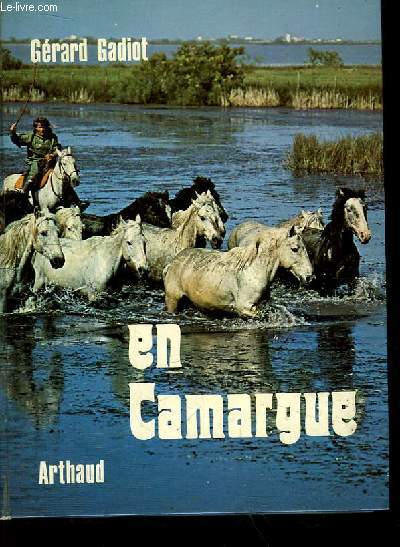 En Camargue. Taureaux, chevaux et gardians.
