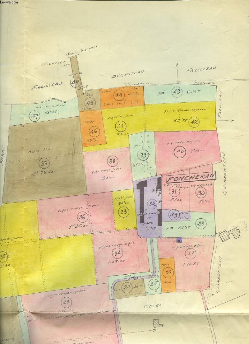 Plan du Cadastre de Montussan - Thibaut, Commune d'Yvrac, Cap de Gueille.