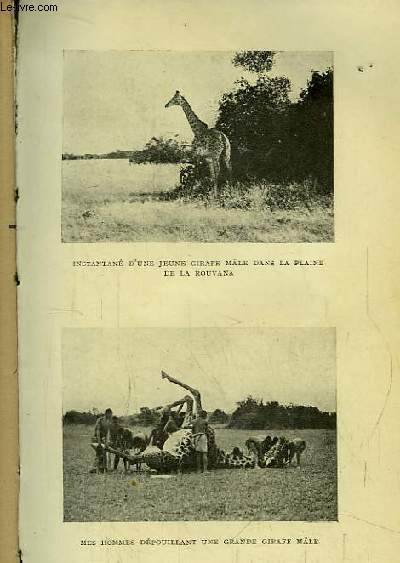 Chasse et Capture du Gros Gibier dans l'Est Africain.