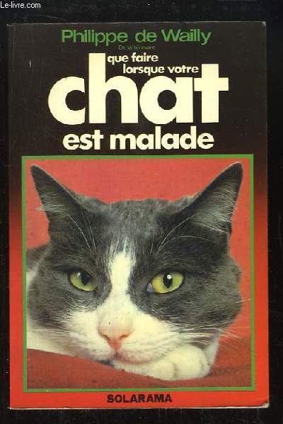 Que faire lorsque votre chat est malade