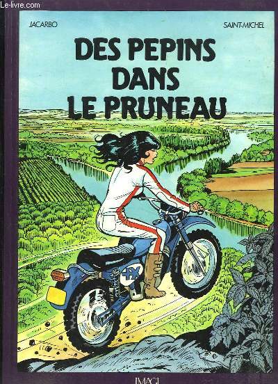 Des ppins dans le pruneau