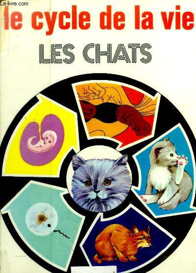 Le cycle de la vie. Les Chats.