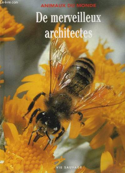 De merveilleux architectes. 