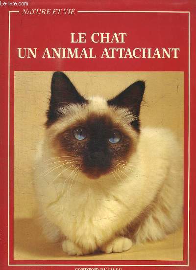 Le chat, un animal attachant