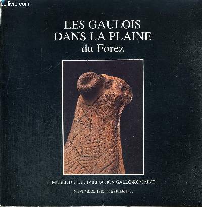 LES GAULOIS DANS LA PLAINE DU FOREZ - LES SEGUSIAVES A L AGE DU FER