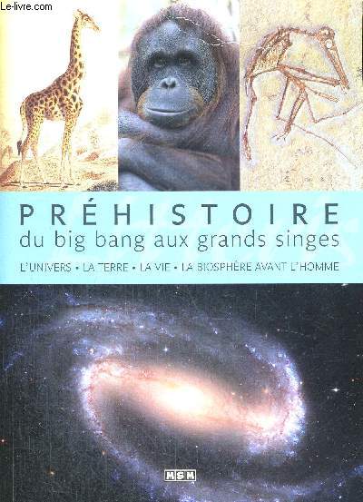 PREHISTOIRE DU BIG BANG AUX GRANDS SINGES - L UNIVERS - LA TERRE - LA VIE - LA BIOSPHERE AVANT L HOMME