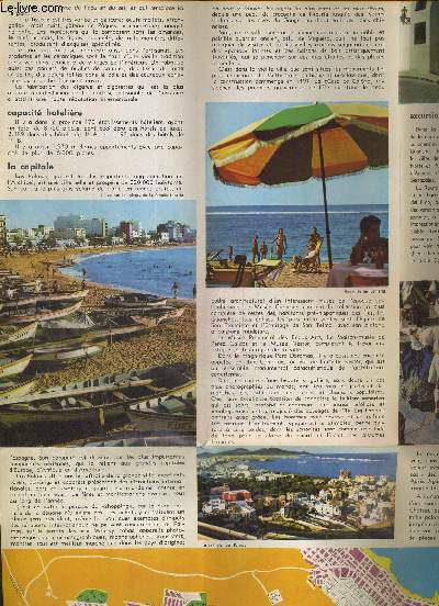 LAS PALMAS. ESPAGNE. LE CLIMAT D UNE SERENITE IDEALE / PLAGES ET SPORTS / GASTRONOMIE ET ARTISANAT / LE PAYSAGE LE SORTILEGE DES PLANTATIONS DE PALMIERS ET DE FIGUIERS DE BARBARIE.