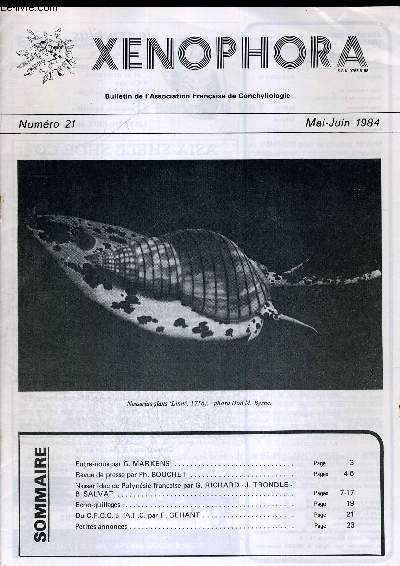 XENOPHORA. BULLETIN DE L ASSOCIATION FRANCAISE DE CONCHYLIOLOGIE. N21. MAI-JUIN 1984. NASSARIIDAE DE POLYNESIE FRANCAISE PAR G. RICHARD - J. TRONDLE - B. SALVAT. / DU C.F.C.C. A L A.F.C. PAR F. GEHANT