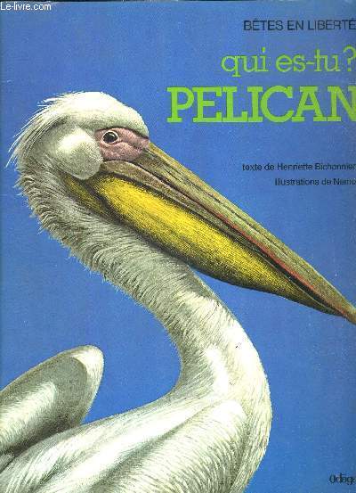 QUI ES-TU? PELICAN - BETES EN LIBERTE